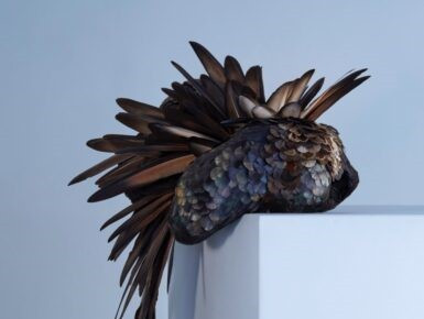 Exposicion - A Tire d'aile_Viroflay