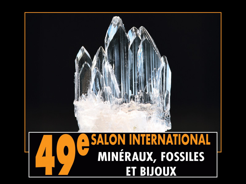 49th International Exhibition of Minerals, Fossils and Jewellery_Jouy-en-Josas