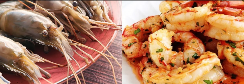 Cuisine zéro dêchet