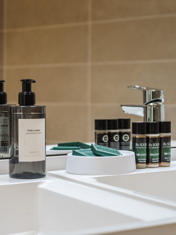 Appartement Victoria - Les Demoiselles à Versailles_Versailles - © Les Demoiselles à Versailles Appartement Victoria - Les Demoiselles à Versailles_Versailles