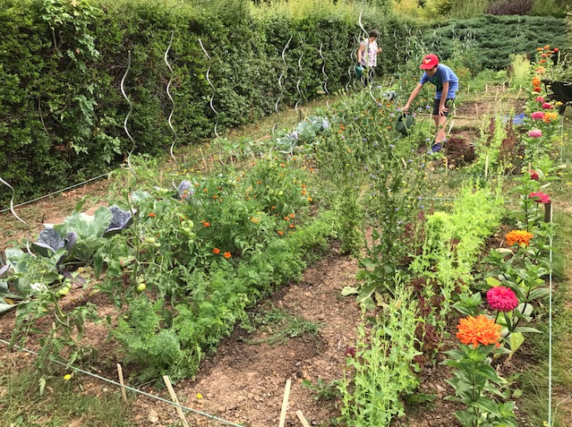 Potager de l'Arborétum Chèvreloup Potager de l'Arborétum Chèvreloup