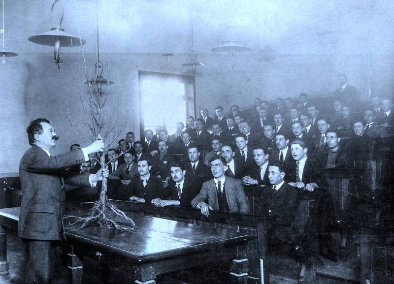 Potager du Roi - Visite guidée thématique : Un jardin de transmission depuis 1945_Versailles