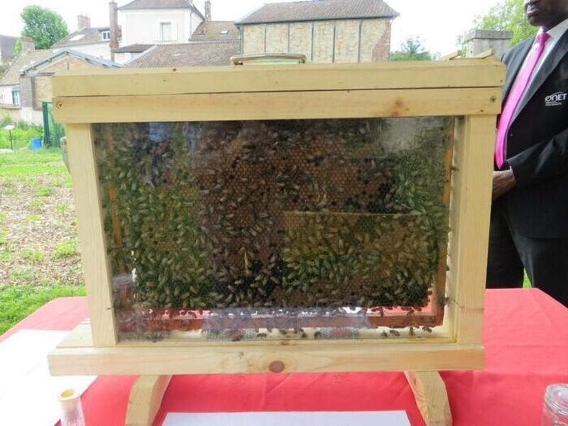 European Heritage Days – An exhibition introducing beekeeping_La Celle-Saint-Cloud