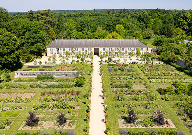 Chateau de Versailles - Découvrez le Jardin du Parfumeur !_Versailles