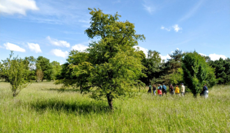 Arboretum de Versailles-Chèvreloup - Visites guidées_Le Chesnay-Rocquencourt - © Arboretum de Versailles-Chèvreloup Arboretum de Versailles-Chèvreloup - Visites guidées_Le Chesnay-Rocquencourt