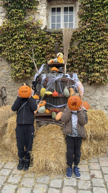Fiesta de la calabaza - Granja de Gally