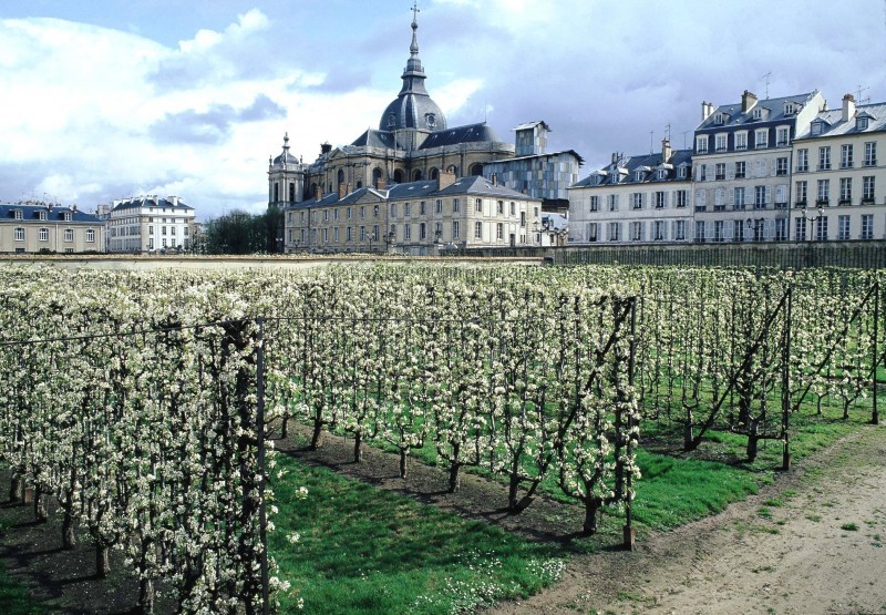 800x600-journee-nature-potager-inconnu-2-24753-29373
