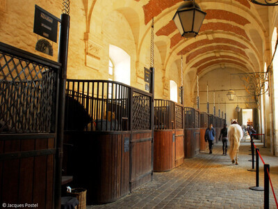 academie-spectacle-equestre-visite-guidee-versailles-jacques-postel-43362