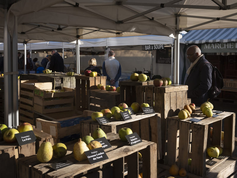 Les Saveurs du Potager
