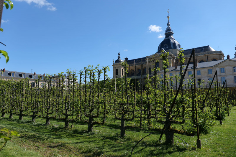 photos-ensp-2024-3-37689