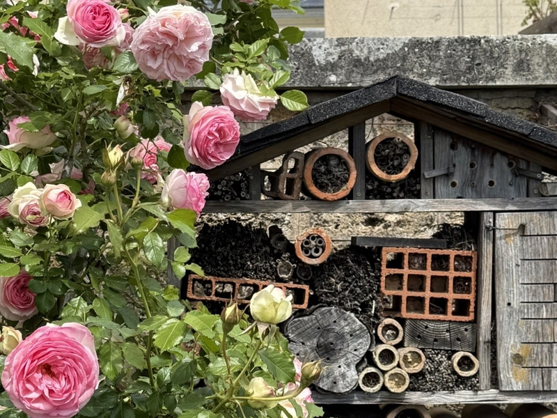 Un palais pour les insectes