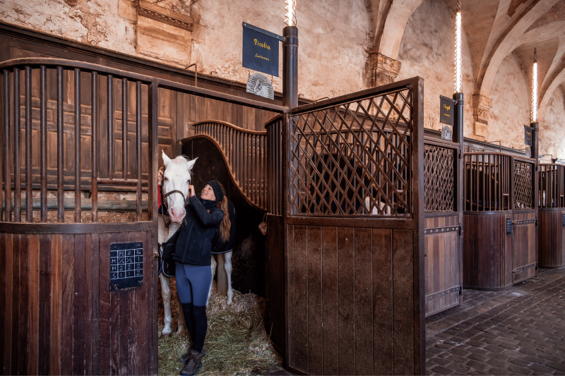 visite-guid-e-de-l-acad-mie-questre-41008
