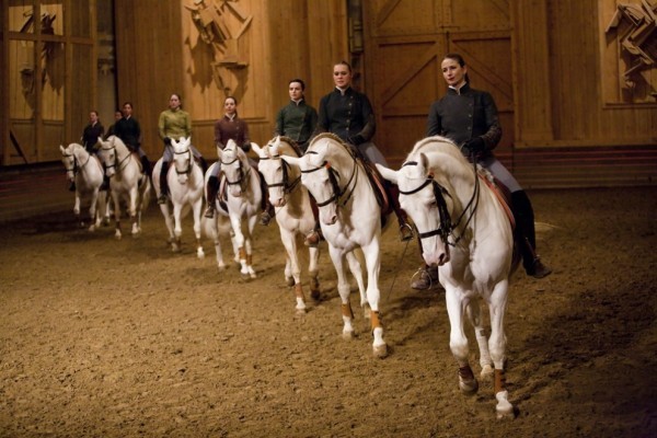 Espectáculo la Voie de l’écuyer  - © académie équestre Academia Ecuestre - espectáculo Ecuestre- establos - caballos - Versalles - Bartabas